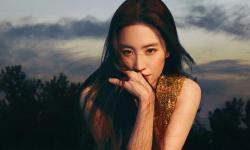 Featured image of post 十二檄文